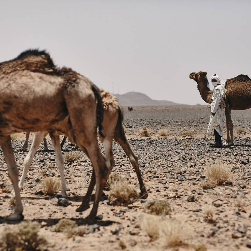 Viaggio fotografico in Marocco tour e workshop fotografico tra le popolazioni berbere in marocco. Marrakech e deserto